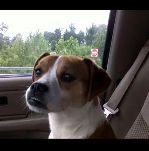 Meet your Posher, Jackie